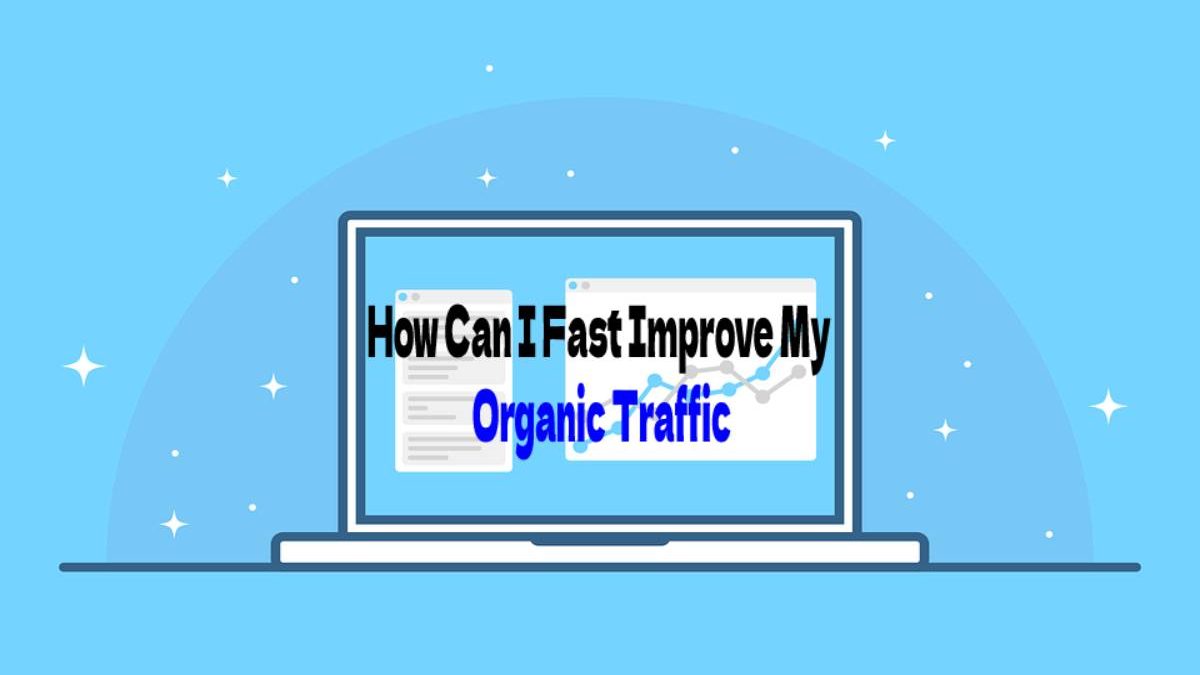 How Can I Fast Improve My Organic Traffic?