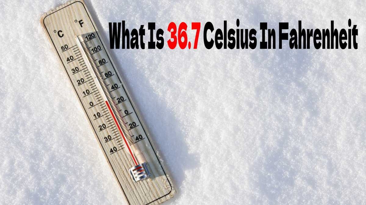 What Is 36.7 Celsius In Fahrenheit – Definition, Solution, Chat, And More
