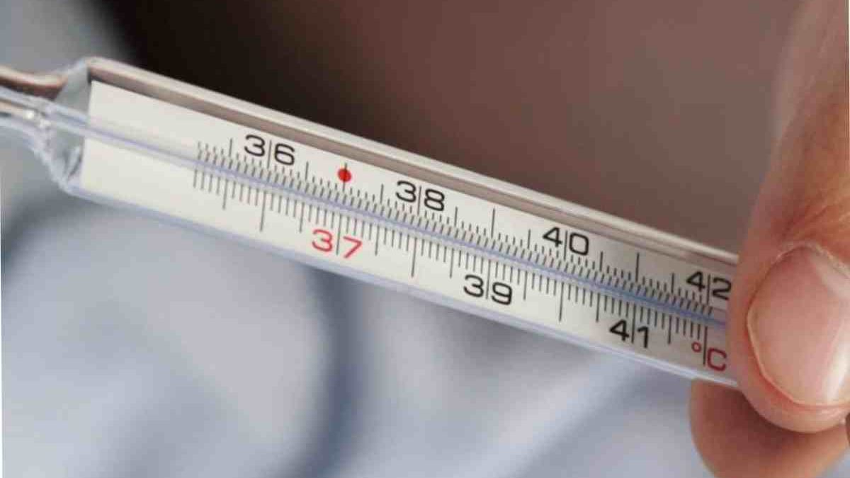 What Is 36.7 Celsius In Fahrenheit – Definition, Solution, Chat, And More