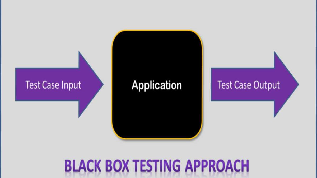Black Box Test Cases Examples: Complete Guide with Real-World Scenarios